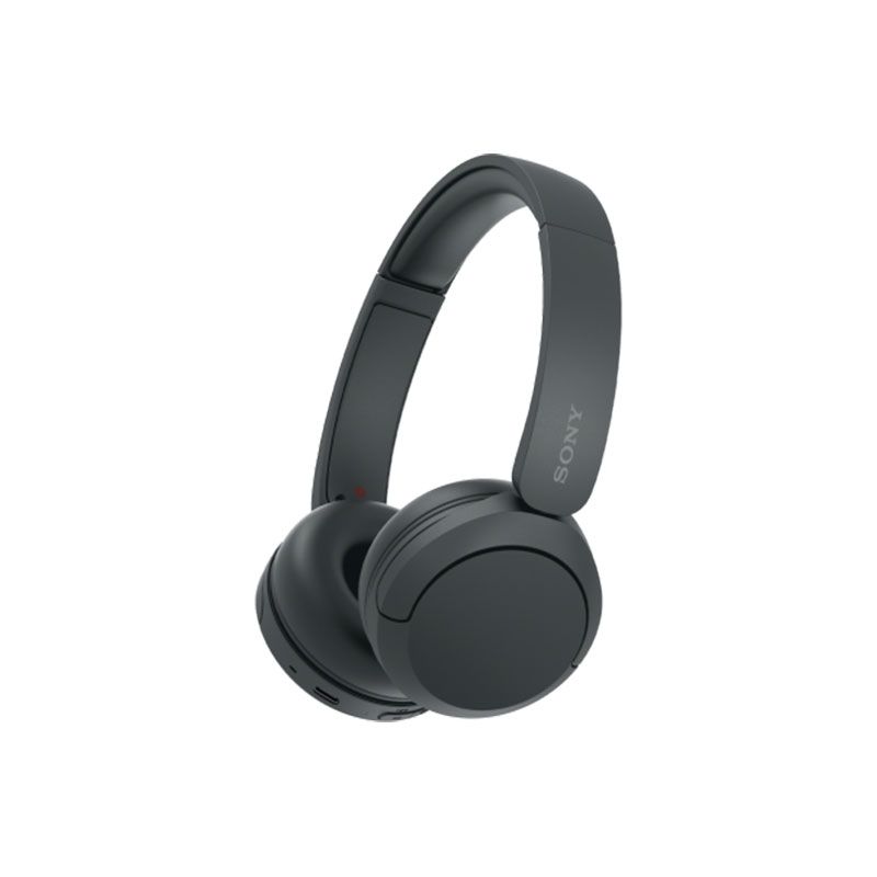 Sony WH-CH520 Overhead Headphone